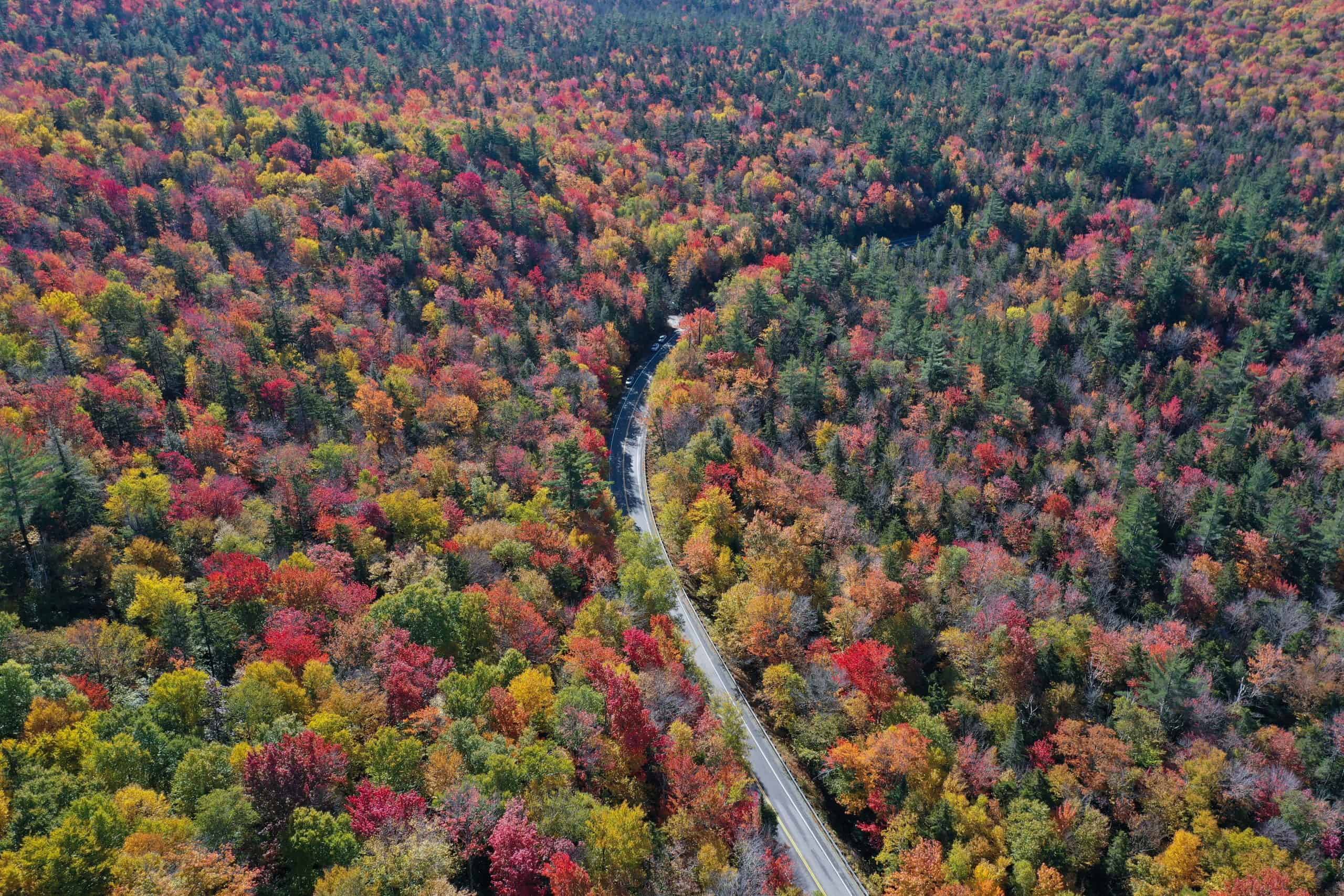 Michigan Fall Colors